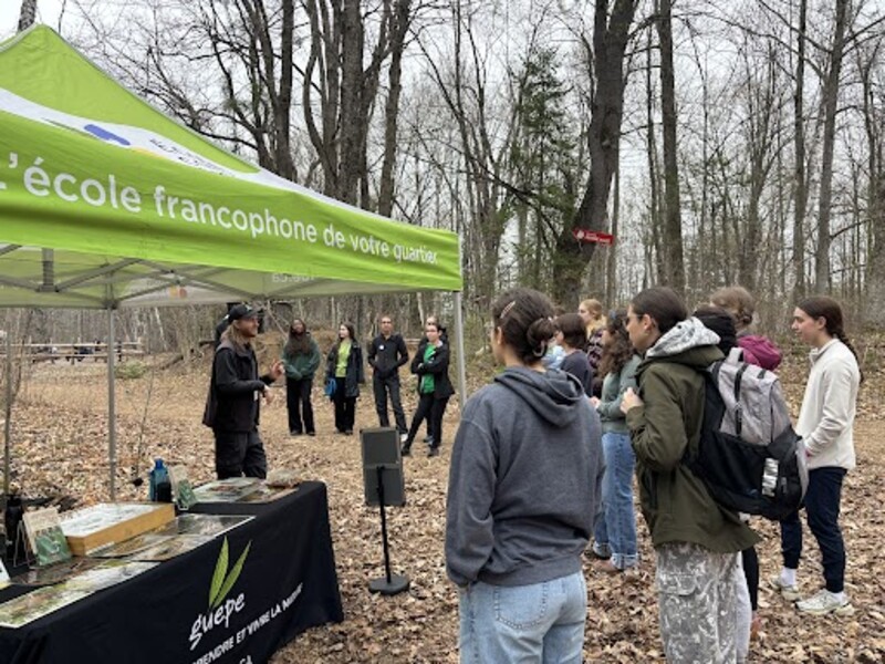 Élèves participant à une activité éducative en forêt.