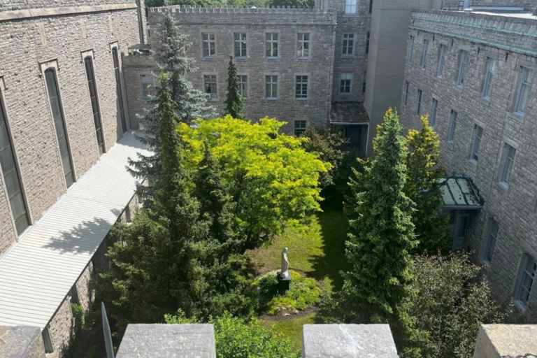 magnifique cour intérieure avec de grands arbres