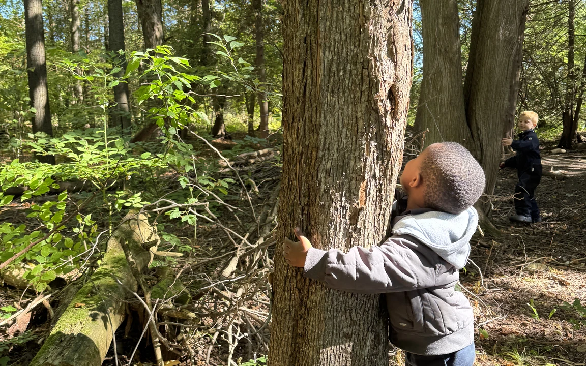Un élève se colle à un arbre au Centre agro-éducatif